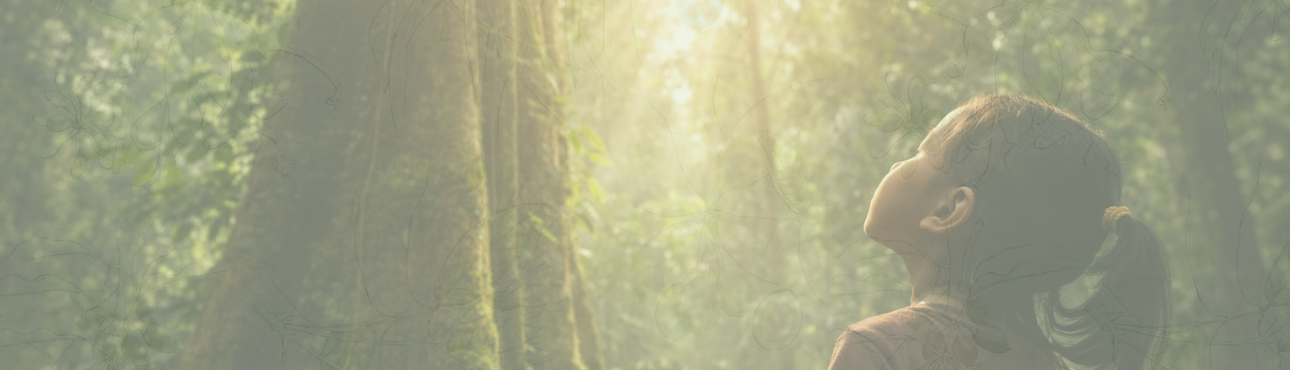 100 Native Tree Species in Malaysia